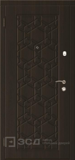 Фото «Уличная дверь №20»