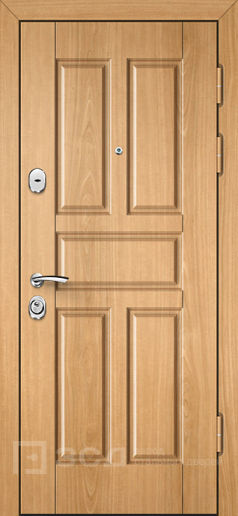 Фото «Нестандартная дверь №6»