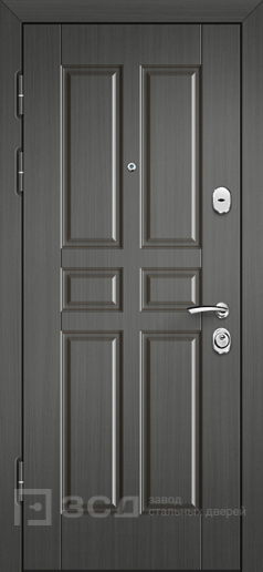 Фото «Утепленная дверь №42»