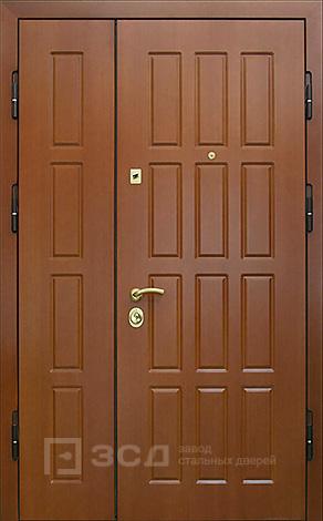 Фото «Тамбурная дверь №5»