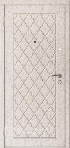 Фото «Наружная дверь №3»